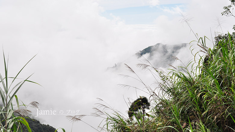 行駛山路風景.jpg