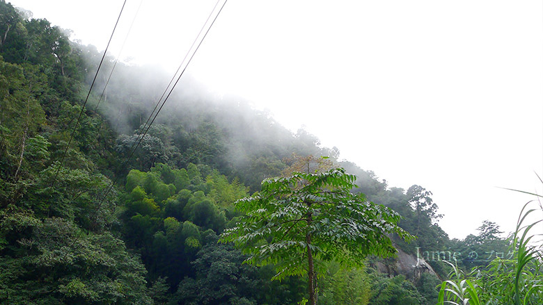 竹山山嵐景色.jpg