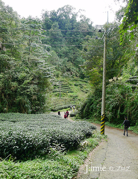 茶園小路電線杆 登山者行走.jpg