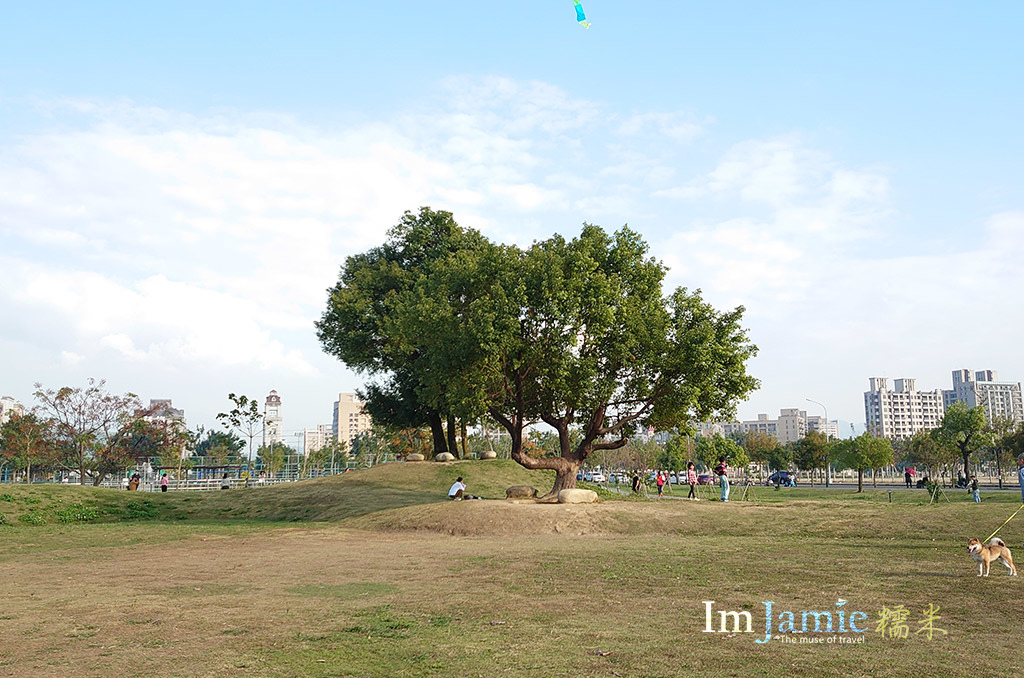 公園裡漂亮的大術.jpg