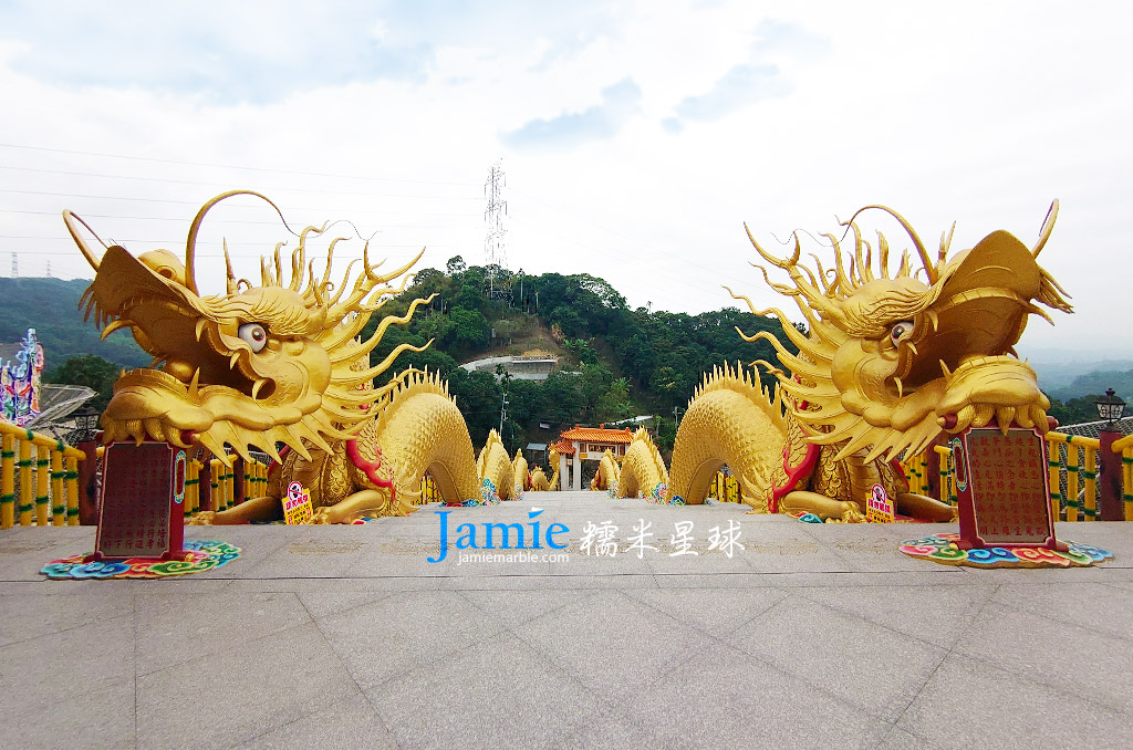 南投金龍山法華寺雙金龍