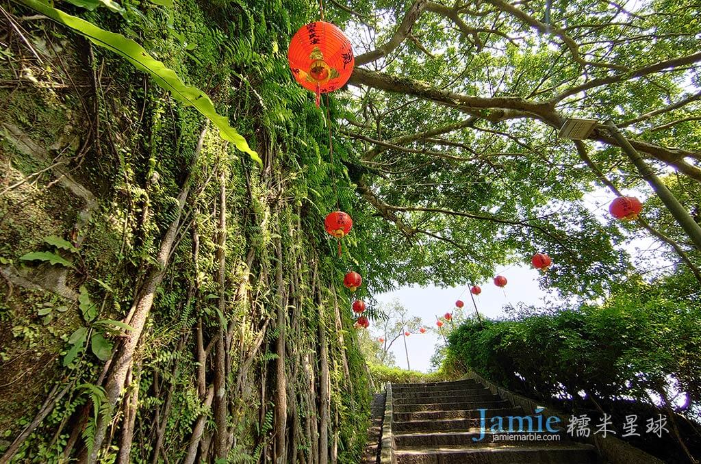 入口樹林步道高掛紅燈籠，老樹超長的根延伸牆面